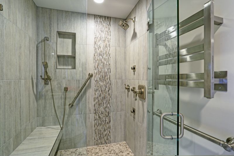 Sophisticated Shower Design